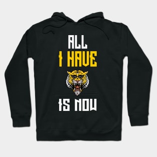 All I Have Is Now Hoodie